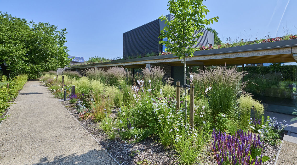 Buitengewoon huis te koop in Hasselt